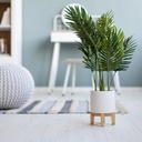 03_03_selected (15 of 40).jpg