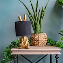 03_18_selected (22 of 42).jpg