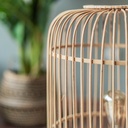 03_18_selected (39 of 42).jpg