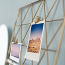 03_03_selected (17 of 40).jpg