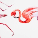 diszparna-flamingos-flamingo-deob-190276-h12-00-cm-w39-00-cm-39-00-cm-1.jpg