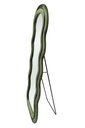 Álló vagy fali tükör, 160 cm, olíva - PRALINE