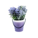 Cserepes művirág 12,5 cm, lila - PRINTEMPS