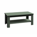 Dohányzóasztal, polccal, sötétzöld - PROVENCE CHIC