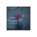 Falikép 30x30 cm, pink tavirózsa - NENUPHAR