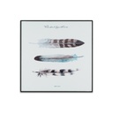 Falikép 30x30 cm, tollak - LEGER COMME UNE PLUME