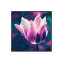 Falikép 30x30 cm, tulipán - TULIE