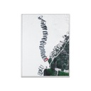 Falikép 30x40 cm, csónakok - MAREE BASSE