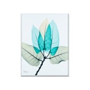 Falikép 30x40 cm, falevelek - AILES DE LIBELLULES