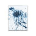 Falikép 30x40 cm, medúzák - MEDUSE
