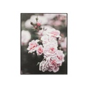 Falikép 30x40 cm, vadrózsa - ROSE ANCIENNE