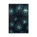 Falikép 40x60 cm, kövirózsa - ECHEVERIA