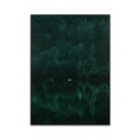 Falikép 50x70 cm, erdő - DEEP FOREST