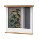 Falitükör, 84x79 cm, fehér-diófa - ALABAMA