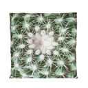 Kaktusz mintás díszpárna, 35x35 cm, zöld-fehér - ARIZONA