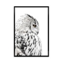 Keretezett falikép, bagoly, 50x70 cm, fekete-fehér - JE TE VOIS