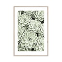 Keretezett falikép, succulensek, 50x70 cm, világoszöld - LES SUCCULENTS