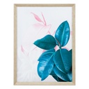 Keretezett falikép, ficus elastica jobb oldalon, 60x80 cm, zöld-rózsaszín - FICUS