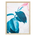Keretezett falikép, ficus elastica középen, 60x80 cm, zöld-rózsaszín - FICUS