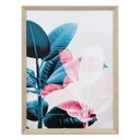 Keretezett falikép, ficus elastica bal oldalon, 60x80 cm, zöld-rózsaszín - FICUS