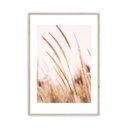 Keretezett falikép, nádszálak, 50x70 cm, világosbarna - BRINDILLES