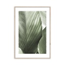 Keretezett falikép, levél, 50x70 cm, zöld - LA FEUILLE