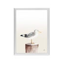 Keretezett falikép, sirály - VUE SUR MER