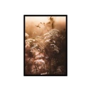 Keretezett poszter, szépia rezgőke, 50x70 cm, barna -  FOISON