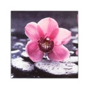 MDF Falikép 30x30 cm orchidea - LILA