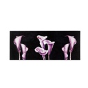 MDF Falikép 30x70 cm lila kálák - CALLAS