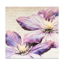 MDF Falikép 50x50 cm - BEAUTE