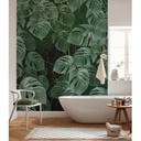 Monstera növény mintás tapéta, 200x250 cm, zöld - MONSTERA