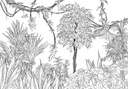 Tarzan ihlette trópusi dzsungelt ábrázoló tapéta, 400x280 cm, fekete-fehér - LIANES