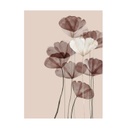 Üveg falikép, pipacsok, 50x70 cm, púderrózsaszín - PINK DREAM