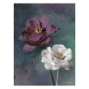 Vászon falikép, két virágszál, 60x80 cm, fehér-lila - SOLITAIRES