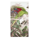 Vászon kép, papagáj piros-kék szárnnyal, 60x120 cm, bézs - SAO PAULO