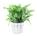 Műnövény kaspóval, kis levelű, 22 cm - MAQUINE