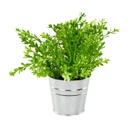 Műnövény kaspóval, közepes levelű, 22 cm - COTIERE