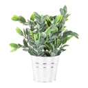 Műnövény kaspóval, nagy levelű, 22 cm - ALPINE