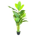 Műnövény, banánfa, 170 cm - BANANIER