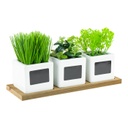 Műnövény, fűszernövények, 3 db, 18 cm - JARDINERIE