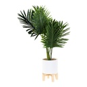 Műnövény, pálma kaspóval, tartóval - PALMIER