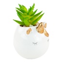 Műnövény, unikornis kaspóban, 10 cm, fehér-arany - CHERIS