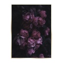 Keretezett falikép, lila virágok, 50x70 cm, fekete-lila - VIE EN VIOLET