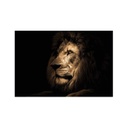 Üveg falikép, oroszlán, 70x100 cm, fekete - LION