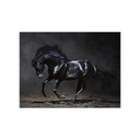 Vászon falikép, fekete ló, 60x150 cm, fekete - VORONOI