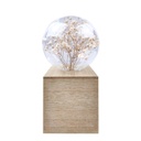 LED-es üveg asztali lámpa, fa talppal, natúr - PIEGE DE VERRE