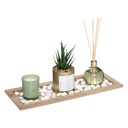 Aroma diffúzor ajándék szett, műnövénnyel, zöld - EUCALYPTUS