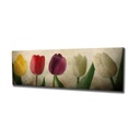 Vászon falikép, tulipánok, 80x30 cm, krémszínű - TULIPES