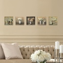 Falikép szett, 5 db, fehér, krémszínű, szürke -